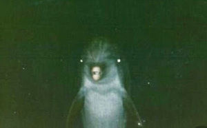 Meet your Posher, Whitney